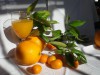 Naranjas a domicilio, la frescura a su hogar